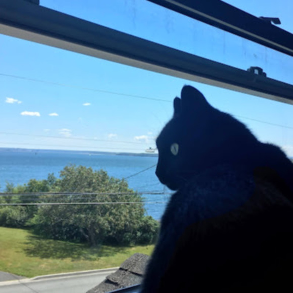 Meet your Posher, Gabriella - Picture 1 of 1